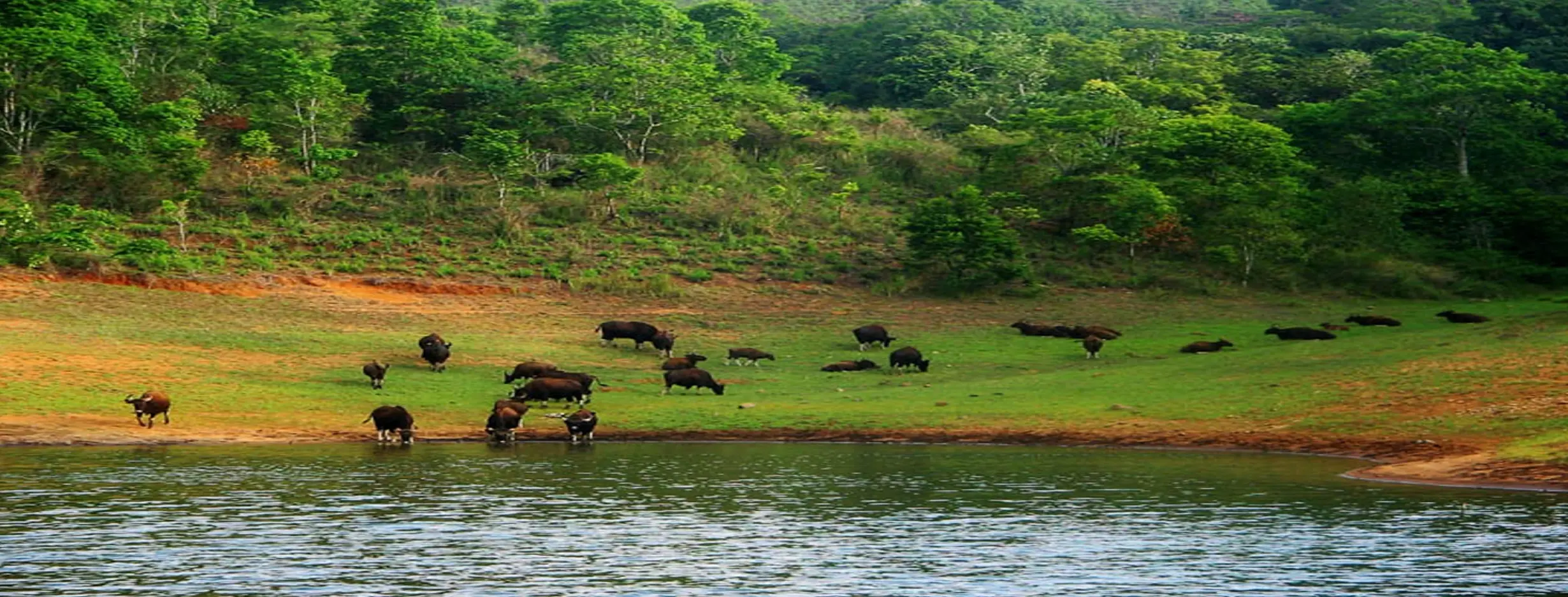 Image for Wildlife Sanctuary Visit